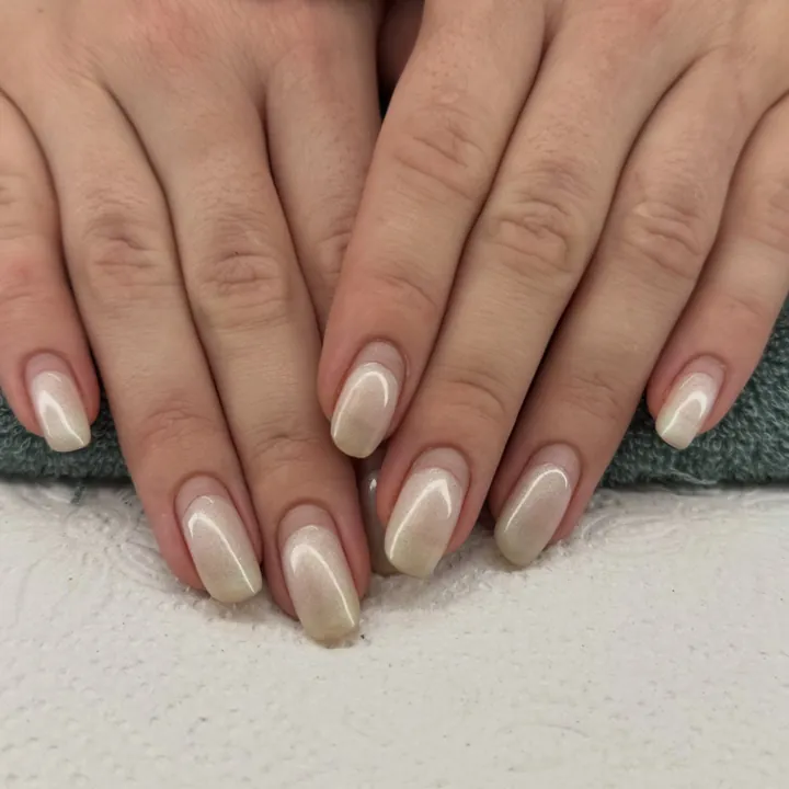 Bio Sculpture gel set